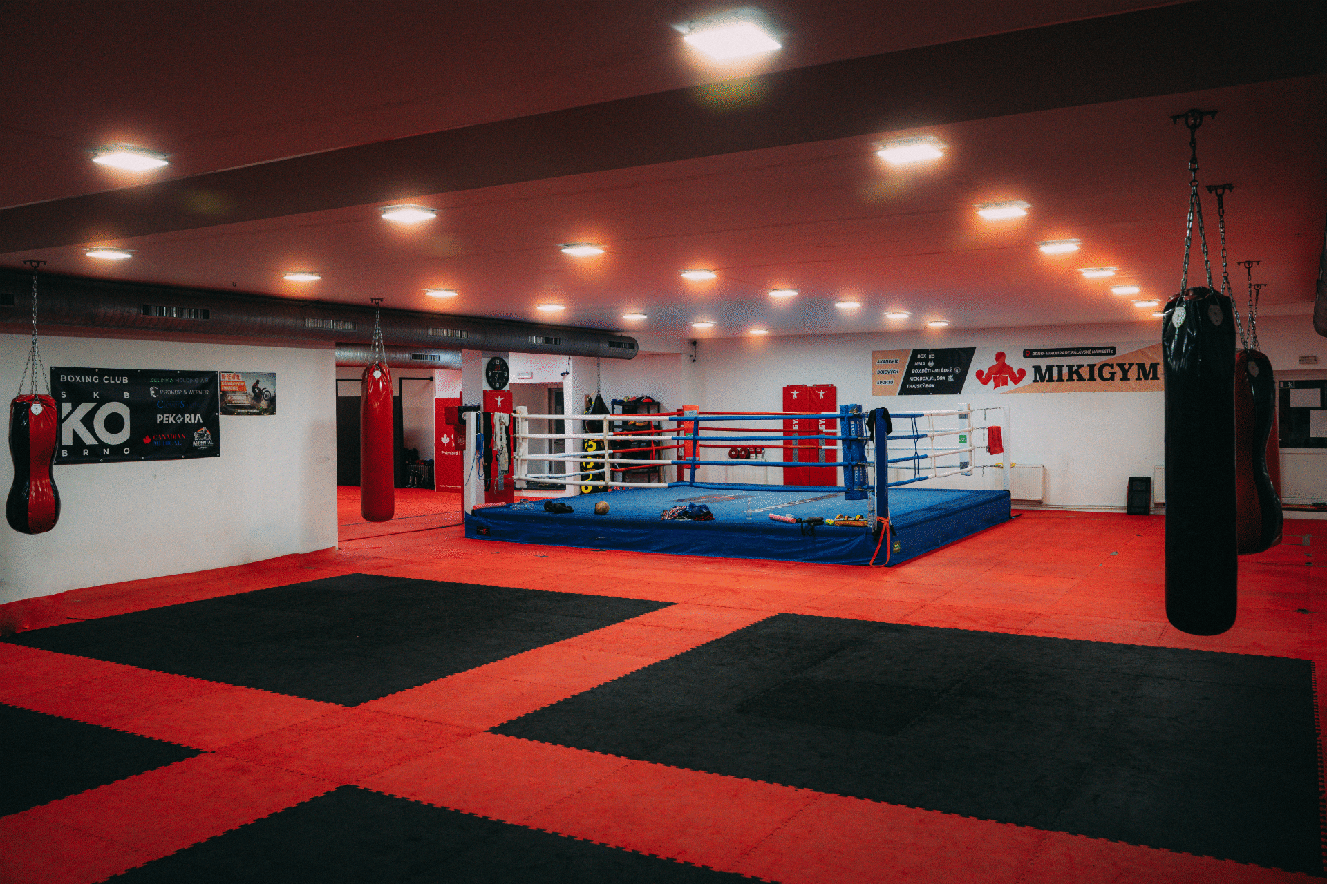 Background Boxing ring Boxovací ring
